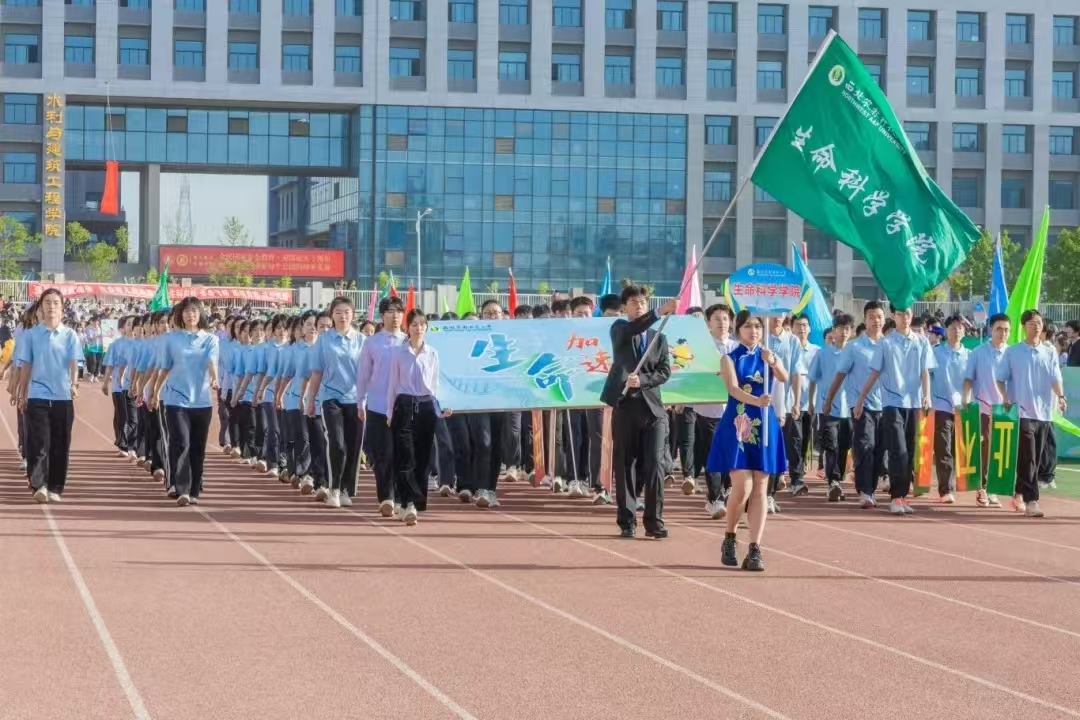 方阵.jpg