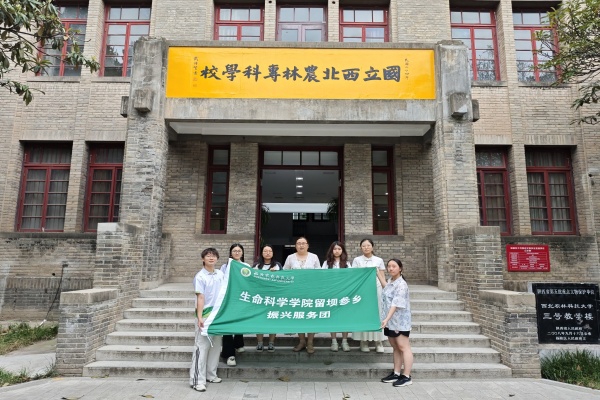团队成员合影.jpg