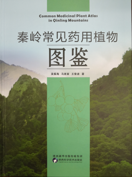 c2084d52d55741e38c0c4ba0ad2b8e07.png 444.png