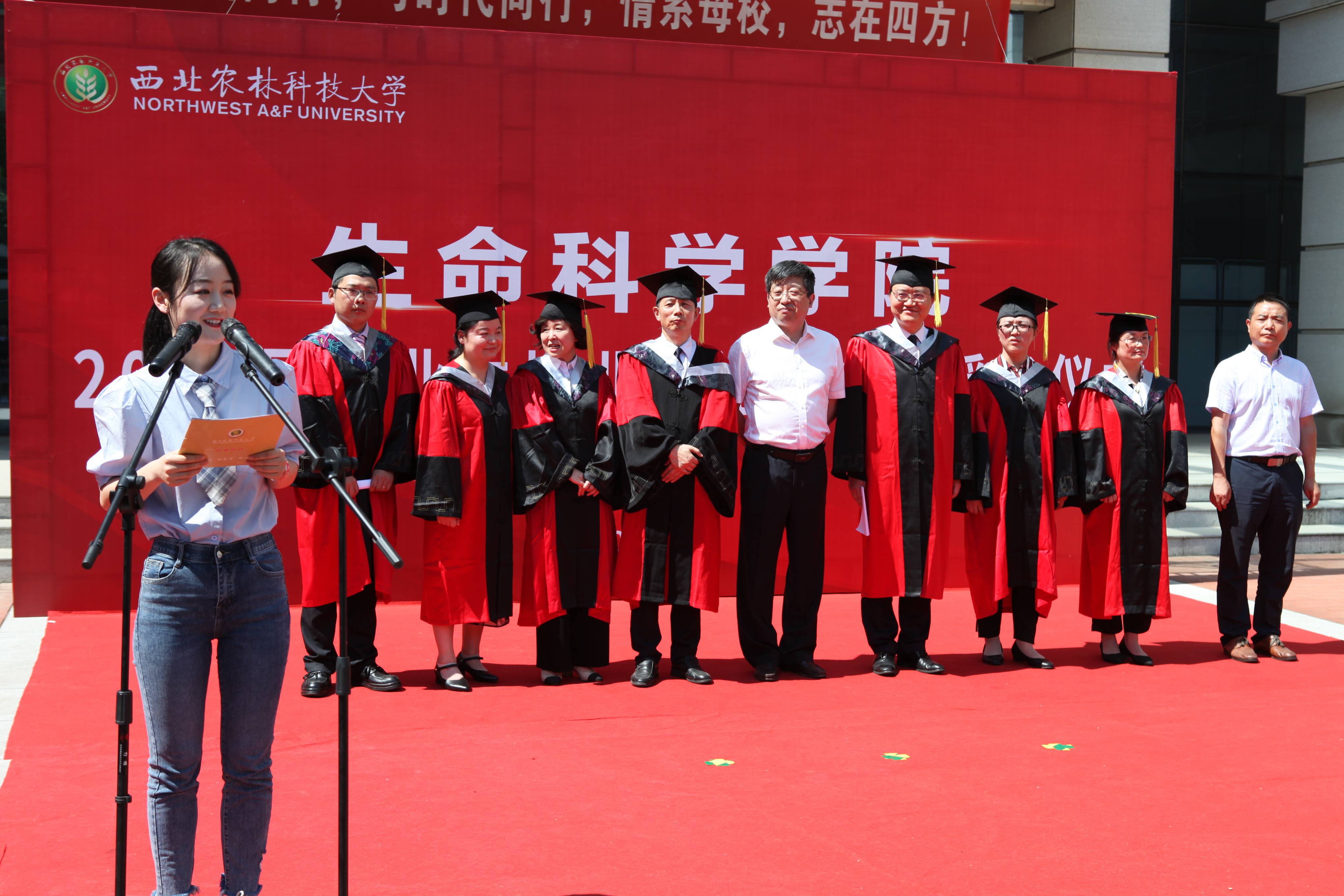9e809c40714343aeb3898ae8d2aee3dc.jpg
