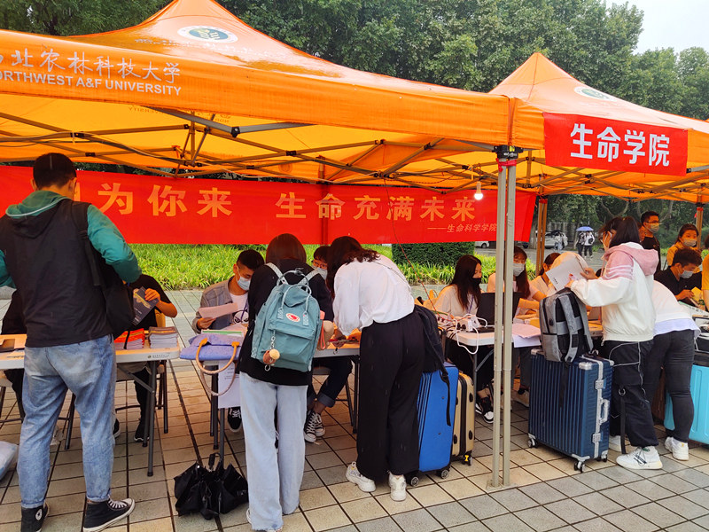 新生报到现场.jpg