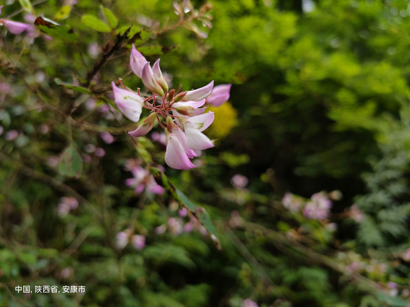 8637fe8578be45828c1713e5dac46d70.jpg 8637fe8578be45828c1713e5dac46d70.jpg