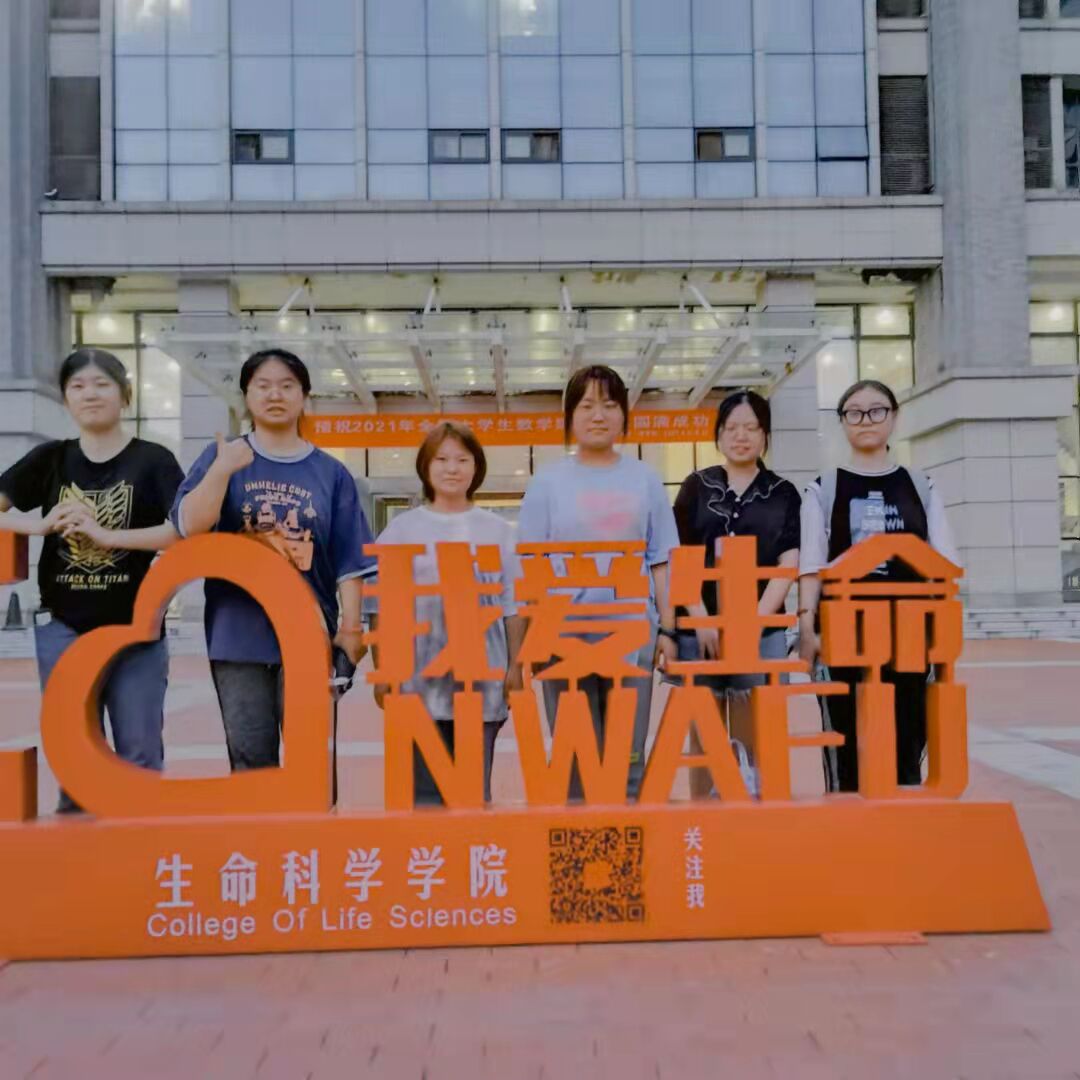 11841e366f6a4d48a49e7720844d4055.jpg 11841e366f6a4d48a49e7720844d4055.jpg